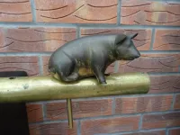 PIG TILLER PIN (5)